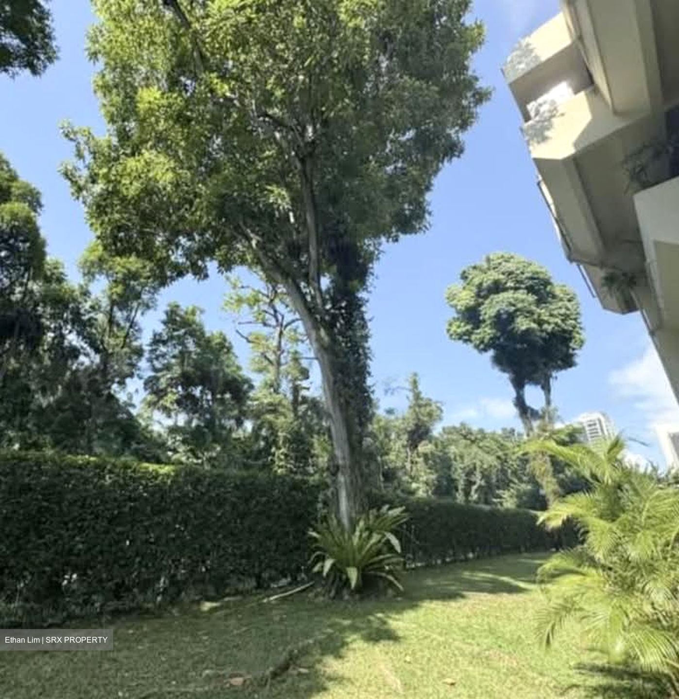 The Draycott (D10), Apartment #559176661
